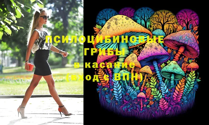 Галлюциногенные грибы Cubensis  Кириллов 